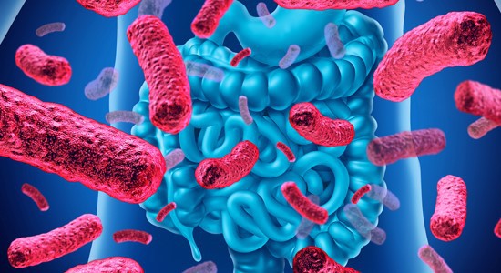 Nicotinamide Riboside Capsules cost | Shaanxi BLOOM Tech Co., Ltd Nicotinamide Riboside Capsules cost | Shaanxi BLOOM Tech Co., Ltd