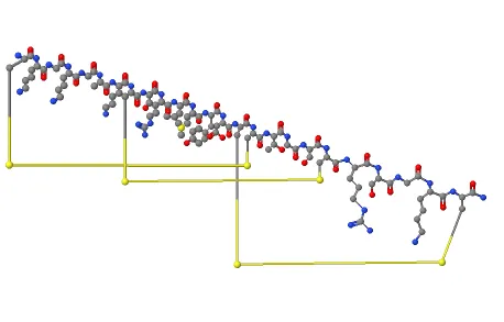 Ziconotide structure | Shaanxi BLOOM Tech Co., Ltd Ziconotide structure | Shaanxi BLOOM Tech Co., Ltd