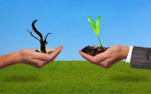 Glycolchitosan Environmental Protection | Shaanxi BLOOM Tech Co., Ltd Glycolchitosan Environmental Protection | Shaanxi BLOOM Tech Co., Ltd