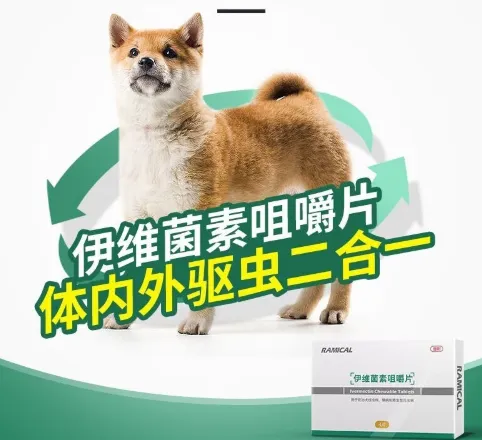 Ivermectin stromectol tablet uses | Shaanxi BLOOM Tech Co., Ltd Ivermectin stromectol tablet uses | Shaanxi BLOOM Tech Co., Ltd