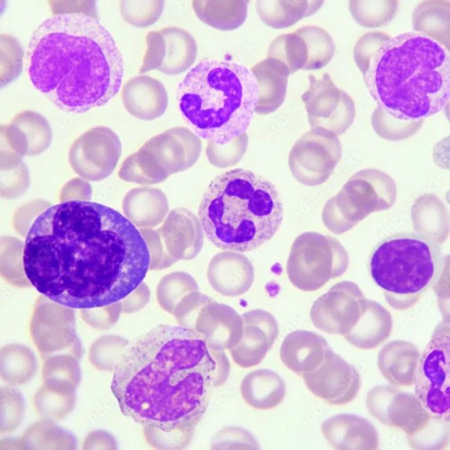 Slu-PP-332 buy | Shaanxi BLOOM Tech Co., Ltd Slu-PP-332 buy | Shaanxi BLOOM Tech Co., Ltd