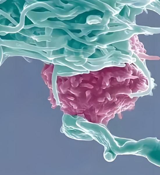 Doxycycline 200mg tablet | Shaanxi Bloom Tech Doxycycline 200mg tablet | Shaanxi Bloom Tech