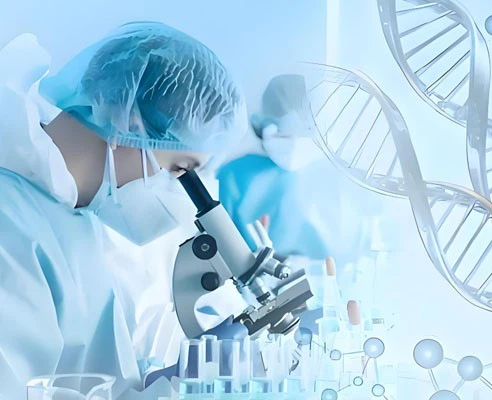 IGF 1 LR3 1mg use | Shaanxi BLOOM Tech Co., Ltd IGF 1 LR3 1mg use | Shaanxi BLOOM Tech Co., Ltd