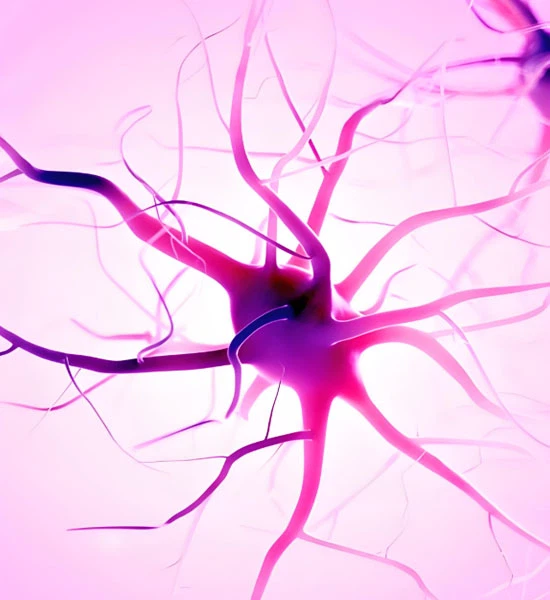 IGF 1 LR3 1mg use | Shaanxi BLOOM Tech Co., Ltd IGF 1 LR3 1mg use | Shaanxi BLOOM Tech Co., Ltd