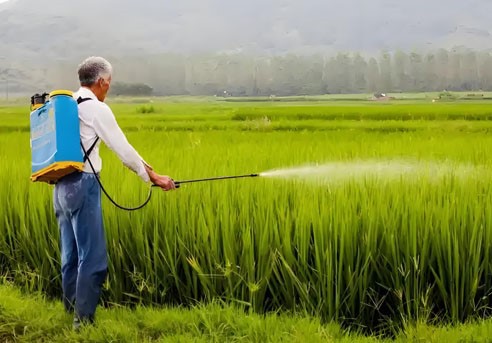 2-Chloro-3-methylpyridine use | Shaanxi BLOOM Tech Co., Ltd 2-Chloro-3-methylpyridine use | Shaanxi BLOOM Tech Co., Ltd