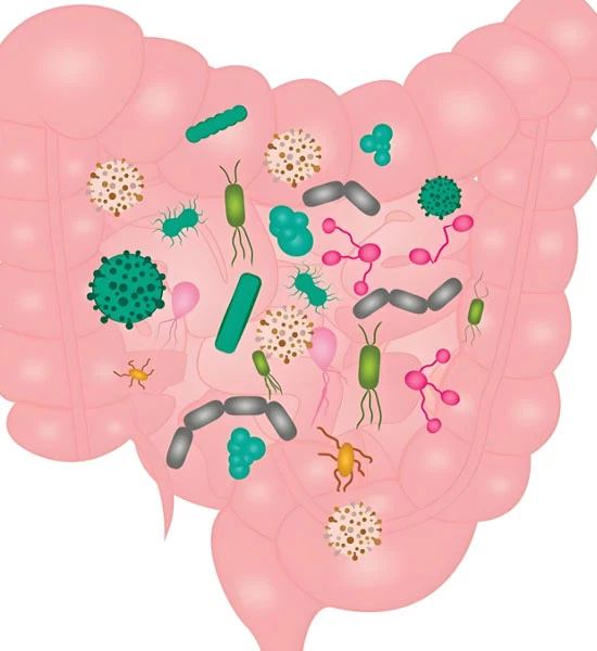 Plecanatide Tablets use | Shaanxi BLOOM Tech Co., Ltd Plecanatide Tablets use | Shaanxi BLOOM Tech Co., Ltd