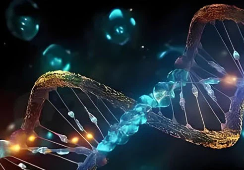 itraconazole uses | Shaanxi BLOOM Tech Co., Ltd itraconazole uses | Shaanxi BLOOM Tech Co., Ltd