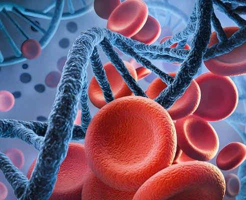 itraconazole uses | Shaanxi BLOOM Tech Co., Ltd itraconazole uses | Shaanxi BLOOM Tech Co., Ltd