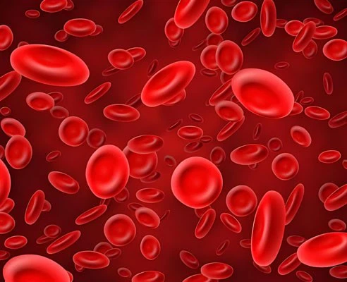 itraconazole uses | Shaanxi BLOOM Tech Co., Ltd itraconazole uses | Shaanxi BLOOM Tech Co., Ltd