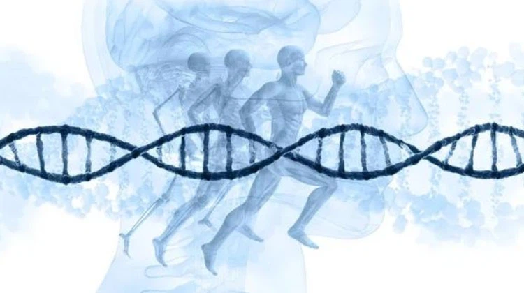 Periodinane For sale | Shaanxi BLOOM Tech Co., Ltd Periodinane For sale | Shaanxi BLOOM Tech Co., Ltd