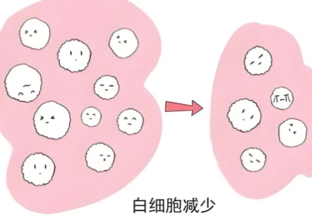 3-Methyl-4-Piperidone Online | Shaanxi BLOOM Tech Co., Ltd 3-Methyl-4-Piperidone Online | Shaanxi BLOOM Tech Co., Ltd