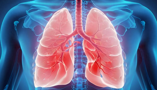 Aviptadil Cost | Shaanxi BLOOM Tech Co., Ltd Aviptadil Cost | Shaanxi BLOOM Tech Co., Ltd