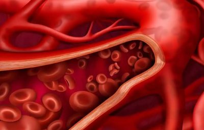 Aviptadil Cost | Shaanxi BLOOM Tech Co., Ltd Aviptadil Cost | Shaanxi BLOOM Tech Co., Ltd