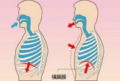 Aviptadil Buy | Shaanxi BLOOM Tech Co., Ltd Aviptadil Buy | Shaanxi BLOOM Tech Co., Ltd