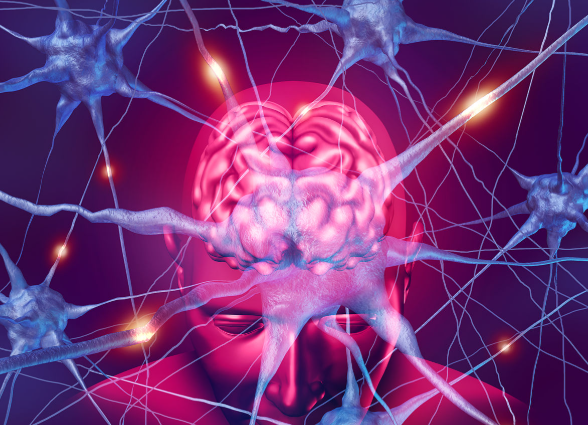 Ziconotide price | Shaanxi BLOOM Tech Co., Ltd Ziconotide price | Shaanxi BLOOM Tech Co., Ltd