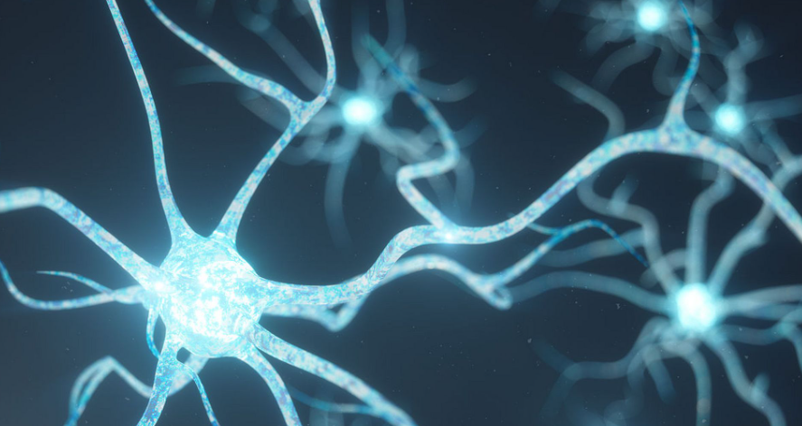 Ziconotide neuropathic cancer pain | Shaanxi BLOOM Tech Co., Ltd Ziconotide neuropathic cancer pain | Shaanxi BLOOM Tech Co., Ltd