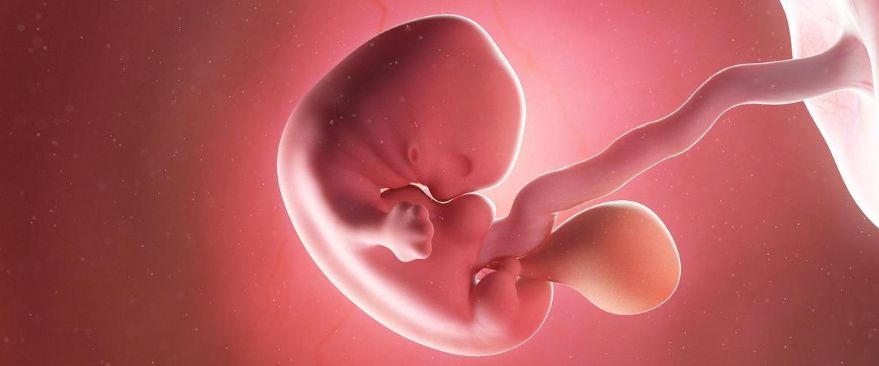 Antide acetate online | Shaanxi BLOOM Tech Co., Ltd Antide acetate online | Shaanxi BLOOM Tech Co., Ltd