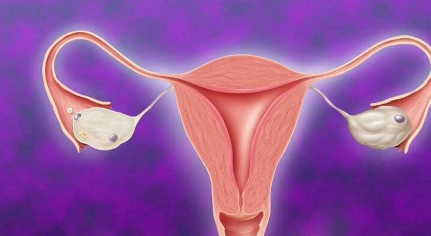 Antide acetate for sale | Shaanxi BLOOM Tech Co., Ltd Antide acetate for sale | Shaanxi BLOOM Tech Co., Ltd