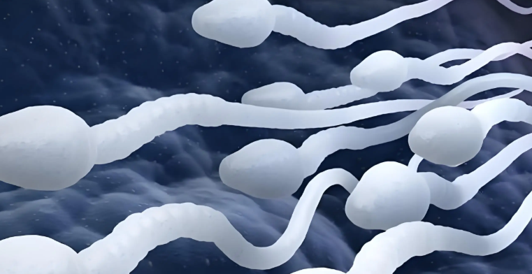 Antide acetate uses | Shaanxi BLOOM Tech Co., Ltd Antide acetate uses | Shaanxi BLOOM Tech Co., Ltd