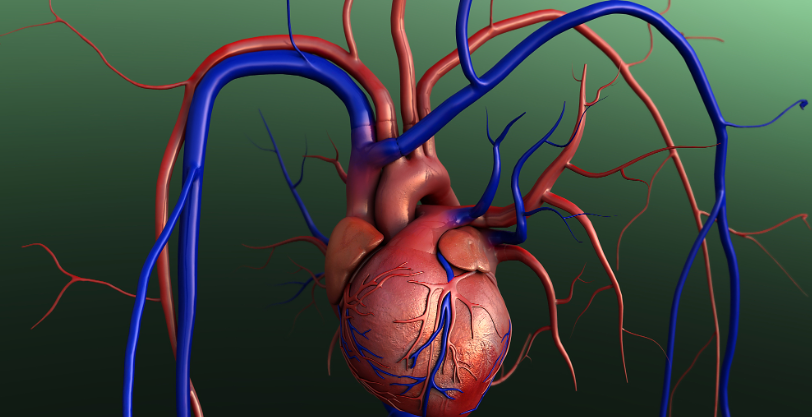 Antide acetate effects | Shaanxi BLOOM Tech Co., Ltd Antide acetate effects | Shaanxi BLOOM Tech Co., Ltd