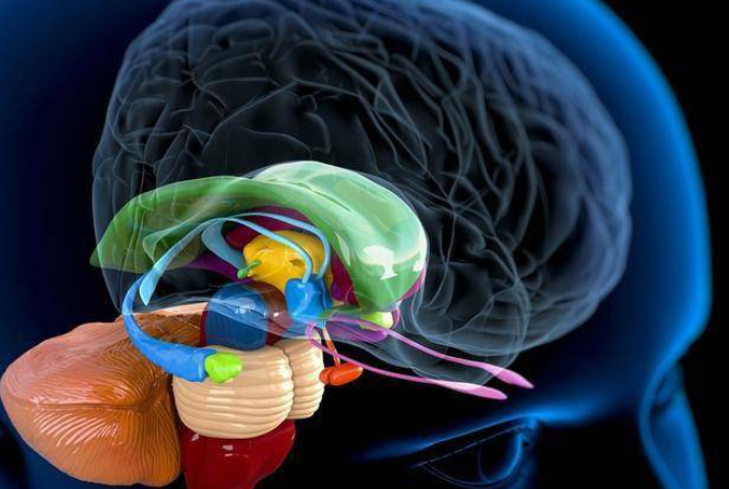 Antide acetate Neuroendocrine And Behavioral Research | Shaanxi BLOOM Tech Co., Ltd Antide acetate Neuroendocrine And Behavioral Research | Shaanxi BLOOM Tech Co., Ltd