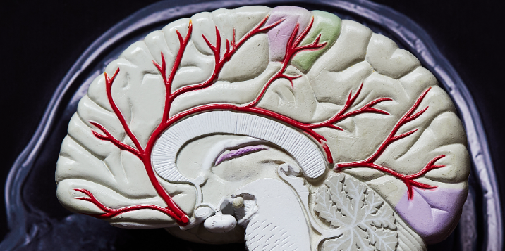 Protirelin purchase | Shaanxi BLOOM Tech Co., Ltd Protirelin purchase | Shaanxi BLOOM Tech Co., Ltd