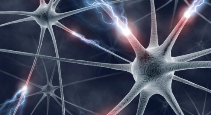 Angiotensin II acetate uses | Shaanxi BLOOM Tech Co., Ltd Angiotensin II acetate uses | Shaanxi BLOOM Tech Co., Ltd