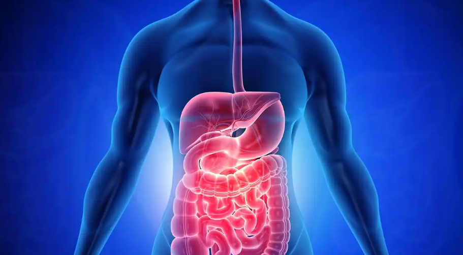 Teduglutide buy | Shaanxi BLOOM Tech Co., Ltd Teduglutide buy | Shaanxi BLOOM Tech Co., Ltd