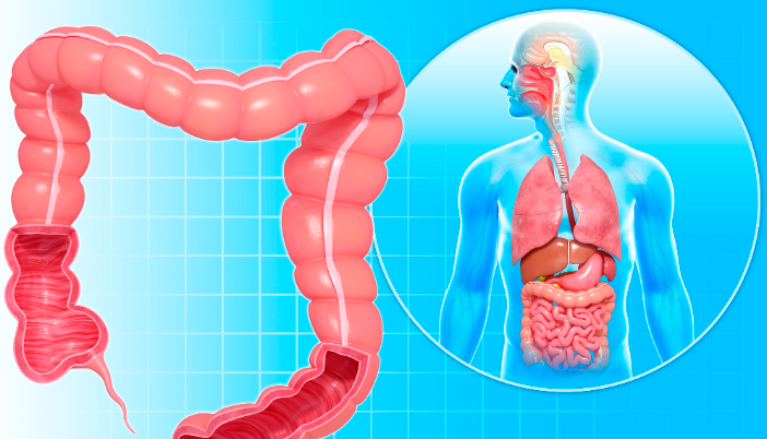 Teduglutide for sale | Shaanxi BLOOM Tech Co., Ltd Teduglutide for sale | Shaanxi BLOOM Tech Co., Ltd