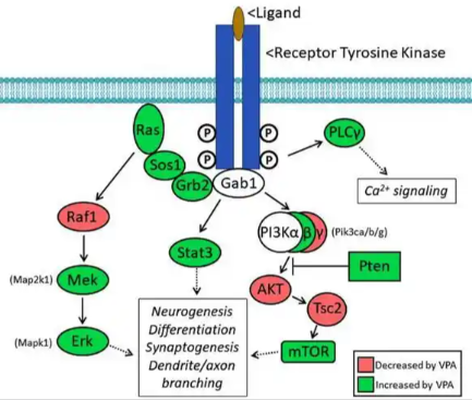 VIP Buy | Shaanxi BLOOM Tech Co., Ltd VIP Buy | Shaanxi BLOOM Tech Co., Ltd