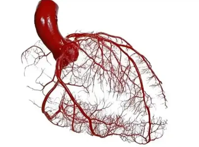 VIP Buy | Shaanxi BLOOM Tech Co., Ltd