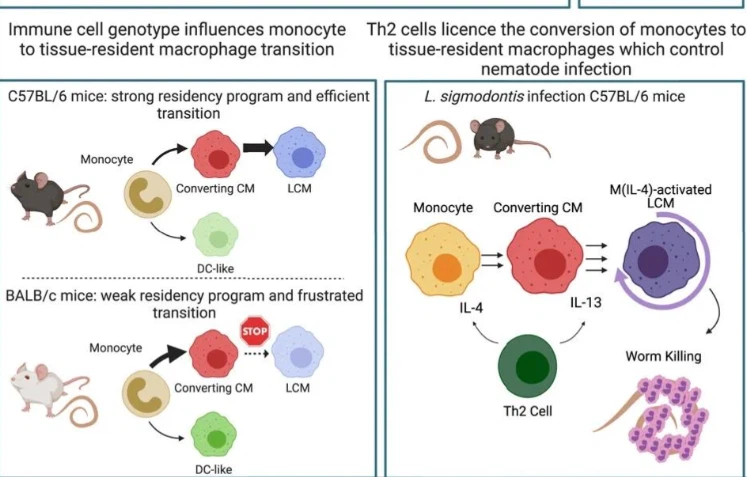 VIP Buy | Shaanxi BLOOM Tech Co., Ltd