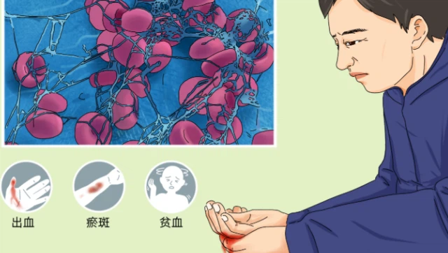 VIP Cost | Shaanxi BLOOM Tech Co., Ltd