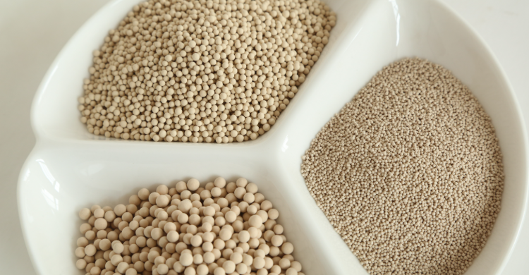 Tetraethylammonium Bromide tamplate | Shaanxi BLOOM Tech Co., Ltd Tetraethylammonium Bromide tamplate | Shaanxi BLOOM Tech Co., Ltd