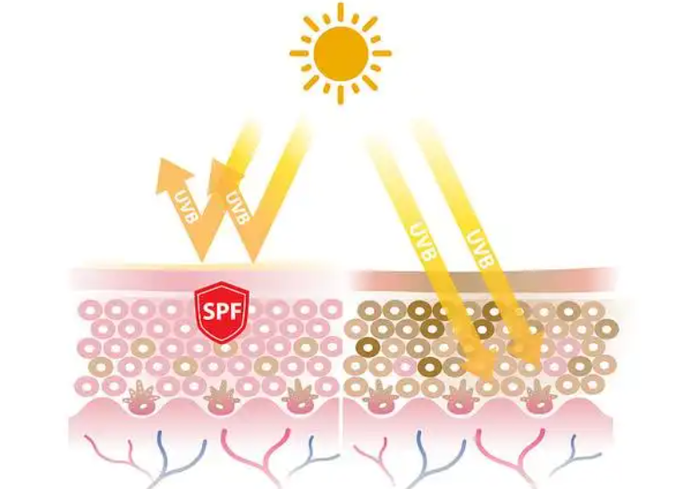 Uvinul A Plus sunscreen | Shaanxi BLOOM Tech Co., Ltd Uvinul A Plus sunscreen | Shaanxi BLOOM Tech Co., Ltd