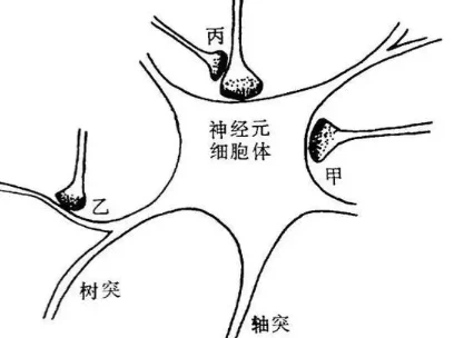 Mog 35 55 Online | Shaanxi BLOOM Tech Co., Ltd Mog 35 55 Online | Shaanxi BLOOM Tech Co., Ltd