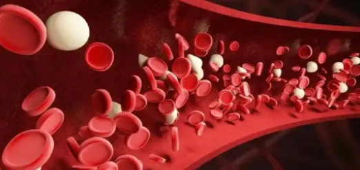 Permethrin and imidacloprid drops Human ehrlichiosis | Shaanxi BLOOM Tech Co., Ltd Permethrin and imidacloprid drops Human ehrlichiosis | Shaanxi BLOOM Tech Co., Ltd