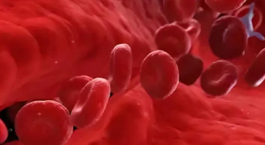 Liposomal Vitamin C Iron Absorption | Shaanxi BLOOM Tech Co., Ltd Liposomal Vitamin C Iron Absorption | Shaanxi BLOOM Tech Co., Ltd