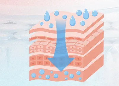 sea cucumber peptide Skin Microecological Balance | Shaanxi BLOOM Tech Co., Ltd sea cucumber peptide Skin Microecological Balance | Shaanxi BLOOM Tech Co., Ltd