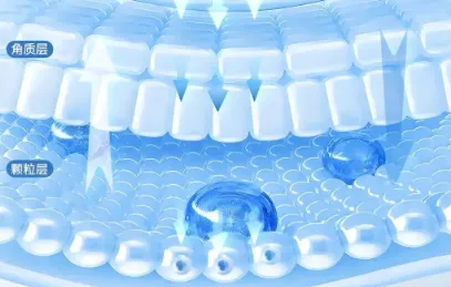 sea cucumber peptide Promote collagen synthesis | Shaanxi BLOOM Tech Co., Ltd sea cucumber peptide Promote collagen synthesis | Shaanxi BLOOM Tech Co., Ltd