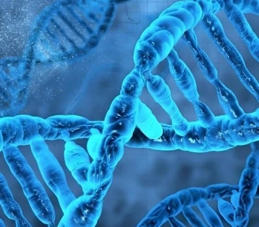 Lyophilized peptide pay | Bloomtechz Lyophilized peptide pay | Bloomtechz
