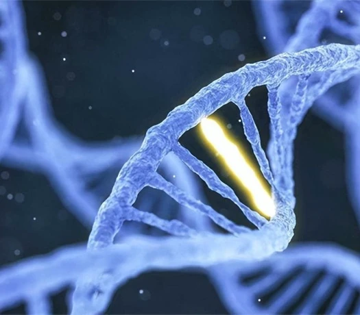 Lyophilized peptide buy online | Bloomtechz Lyophilized peptide buy online | Bloomtechz