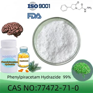 Nootropic Fonturacetam Hydrazide